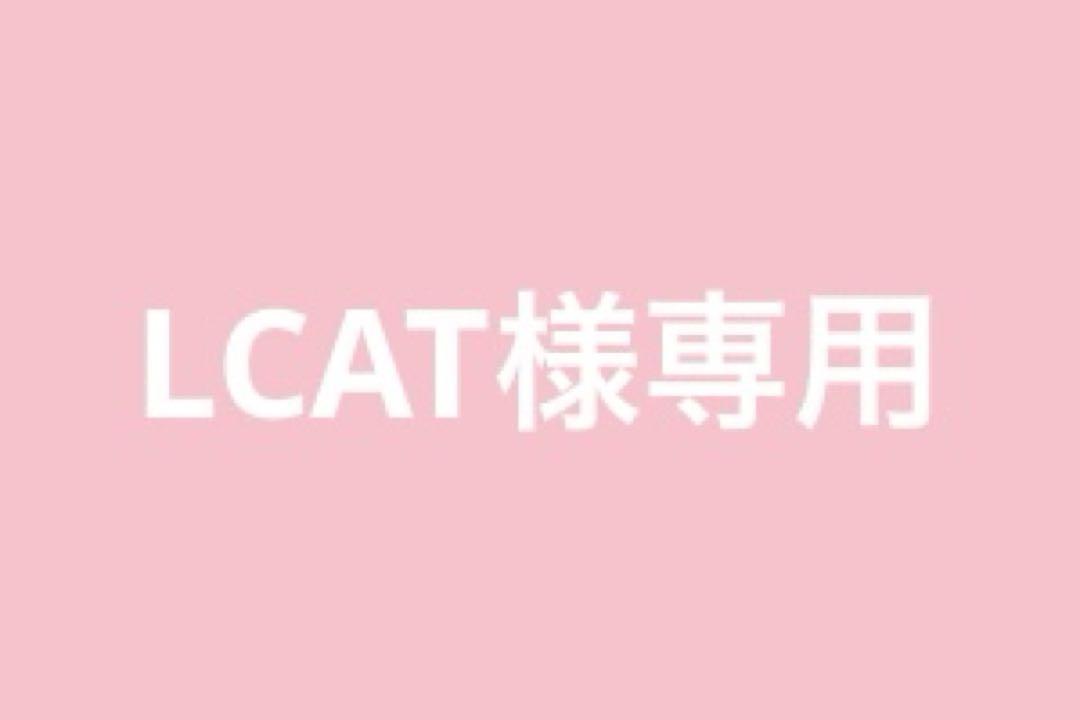 その他 LCAT
