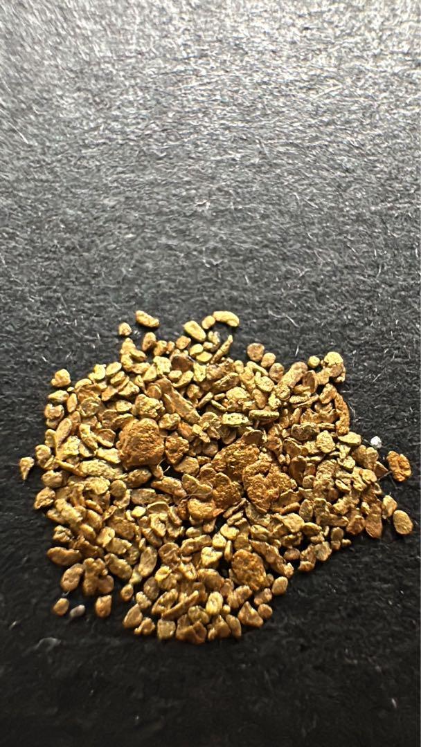 砂金　gold