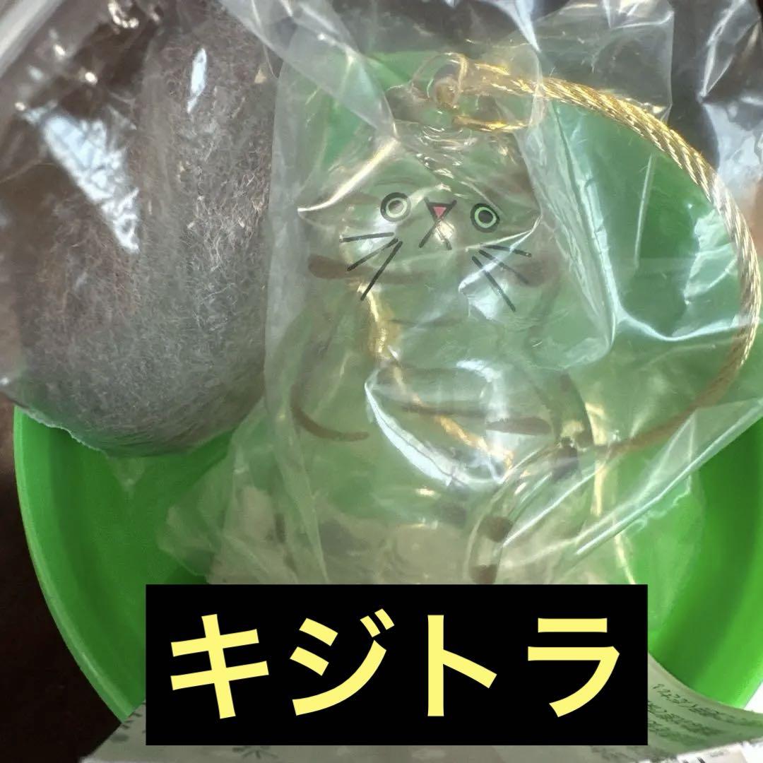 うちの子のけだまだま キジトラ C-pla シープラ限定アソート