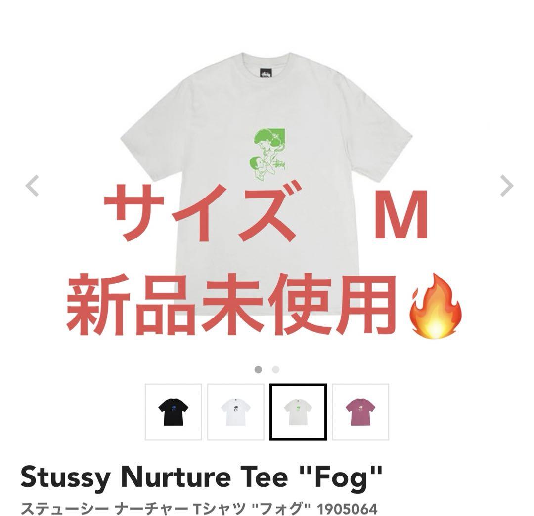 ★韓国の人気★【STUSSY】★NURTURE TEE★Tシャツ★FOG★ Stussy Nurture Tee