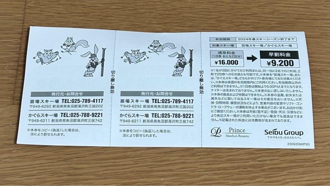 苗場スキー場/かぐらスキー場共通リフト券　2日分 かぐら 苗場スキー場 共通リフト券 2日分