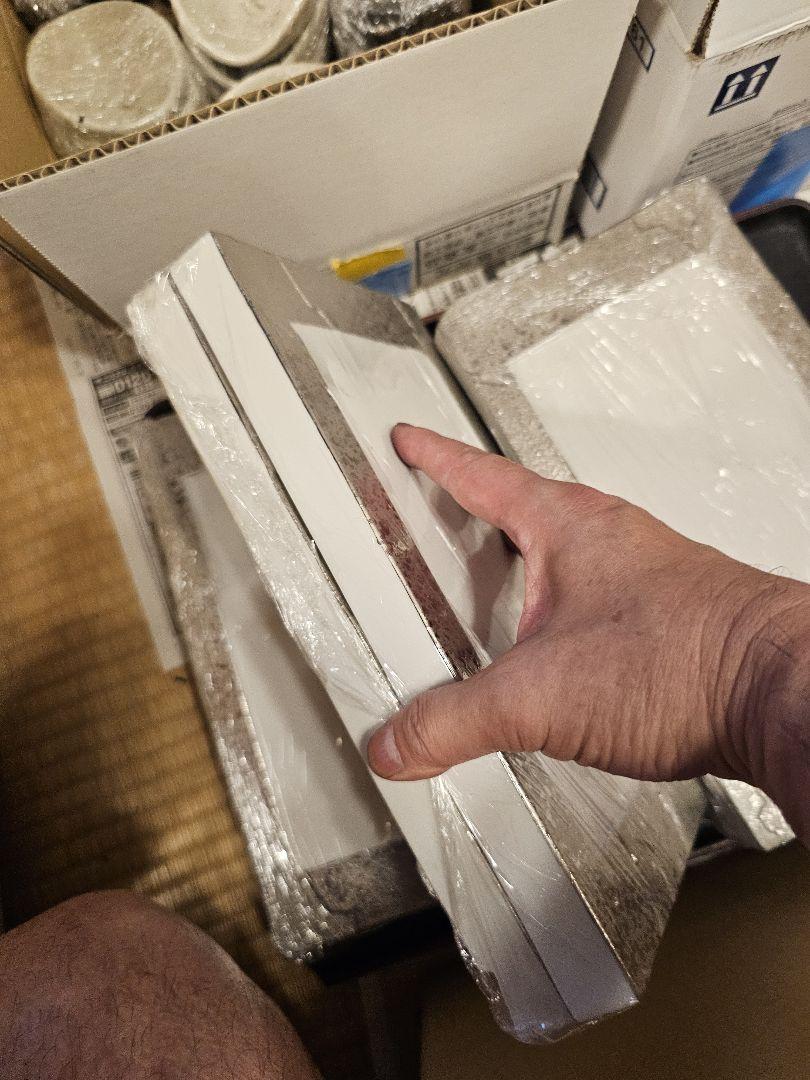 プラスチック製プレート 10枚セット ホワイト/シルバー長皿