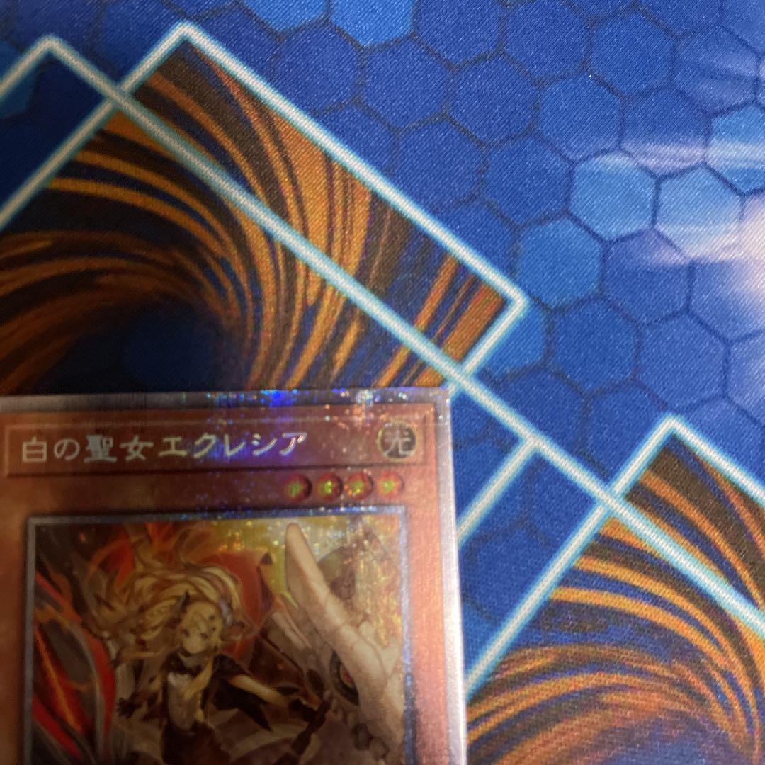 超歓迎得価 白の聖女エクレシア プリズマ プリシク ① 9RWAq-m16269136951 全国無料定番