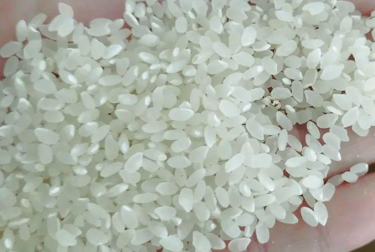 令和6年度産　秋田米 あきたこまち20kg 玄米