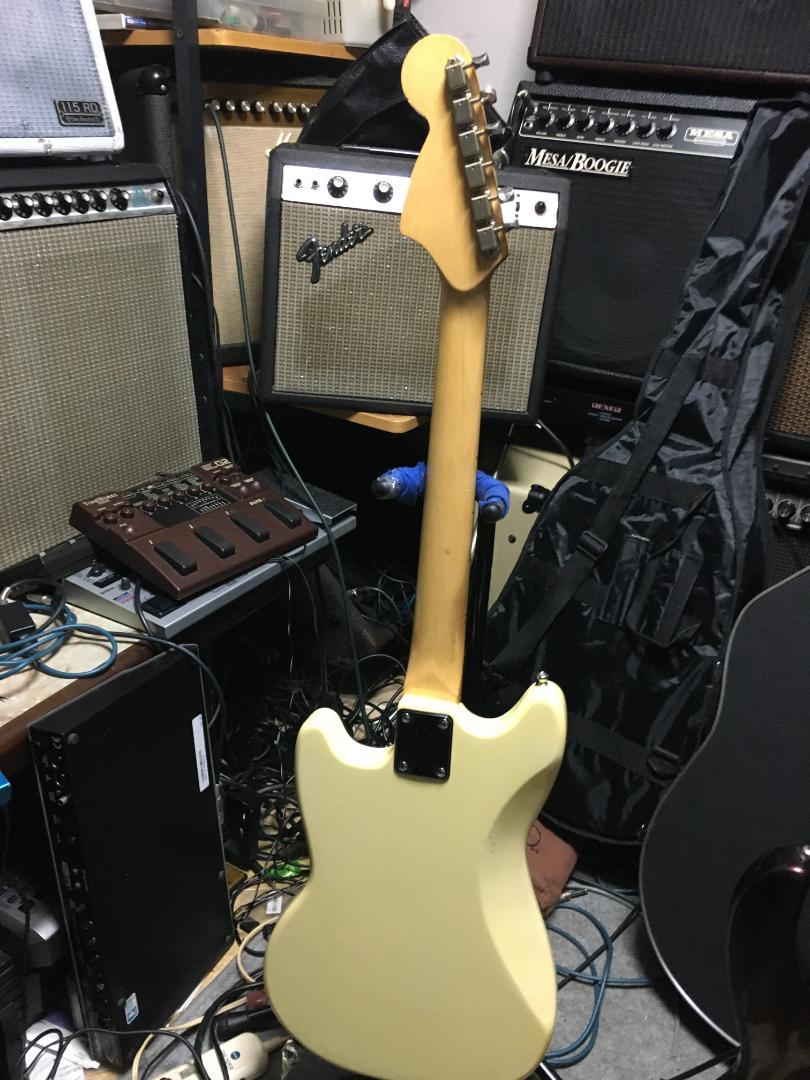 SUGI Mustang