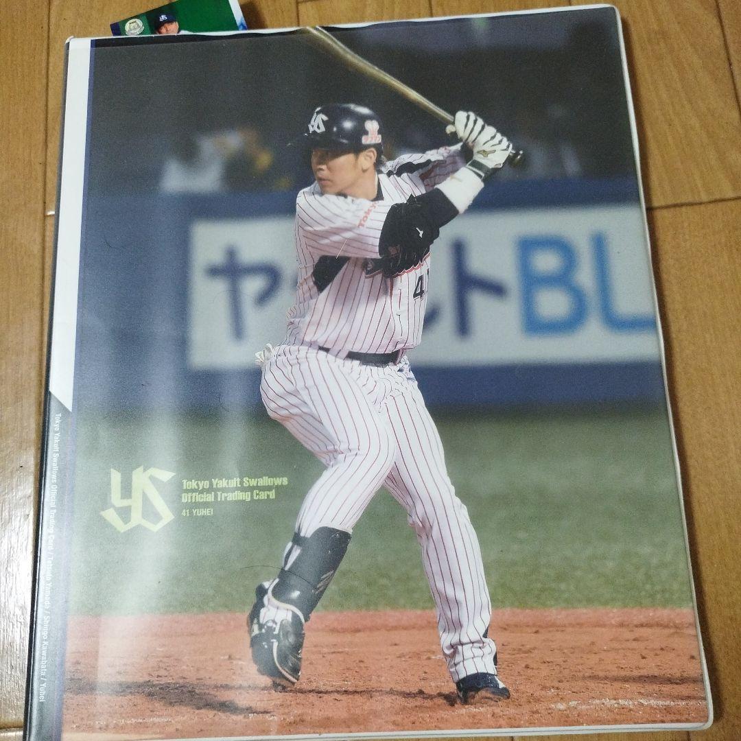 ヤクルト　カードセット　カードホルダー