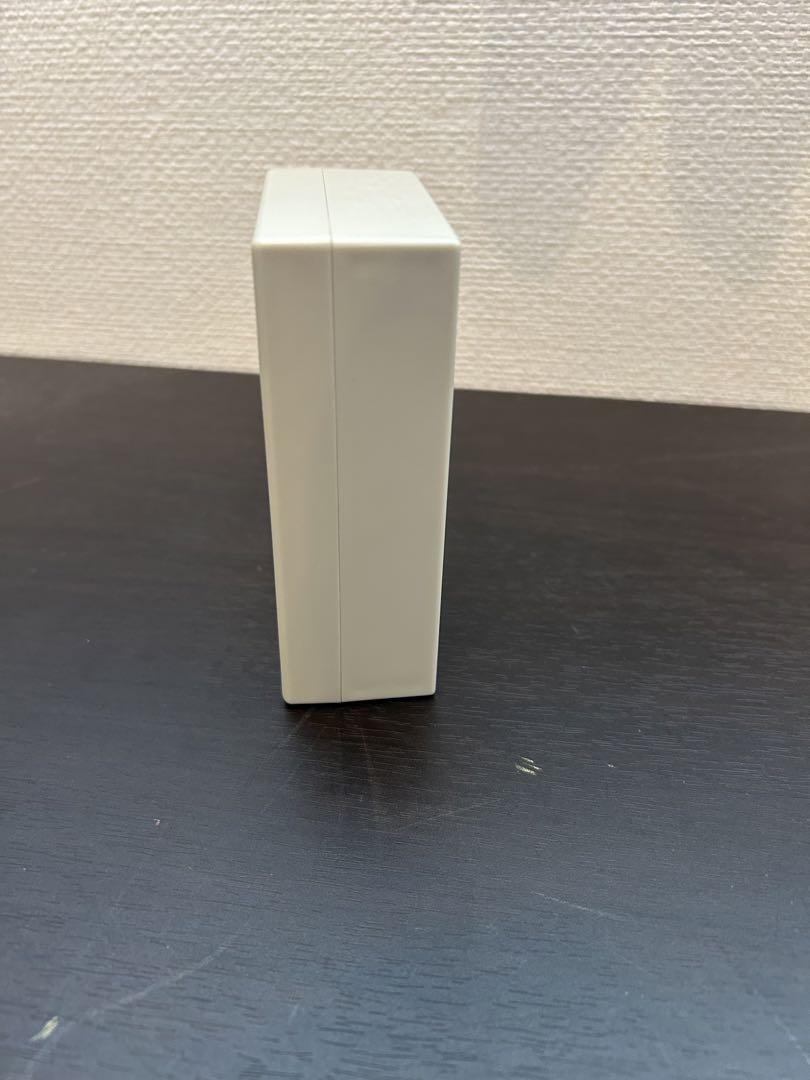 スピノサウルスの化石　歯