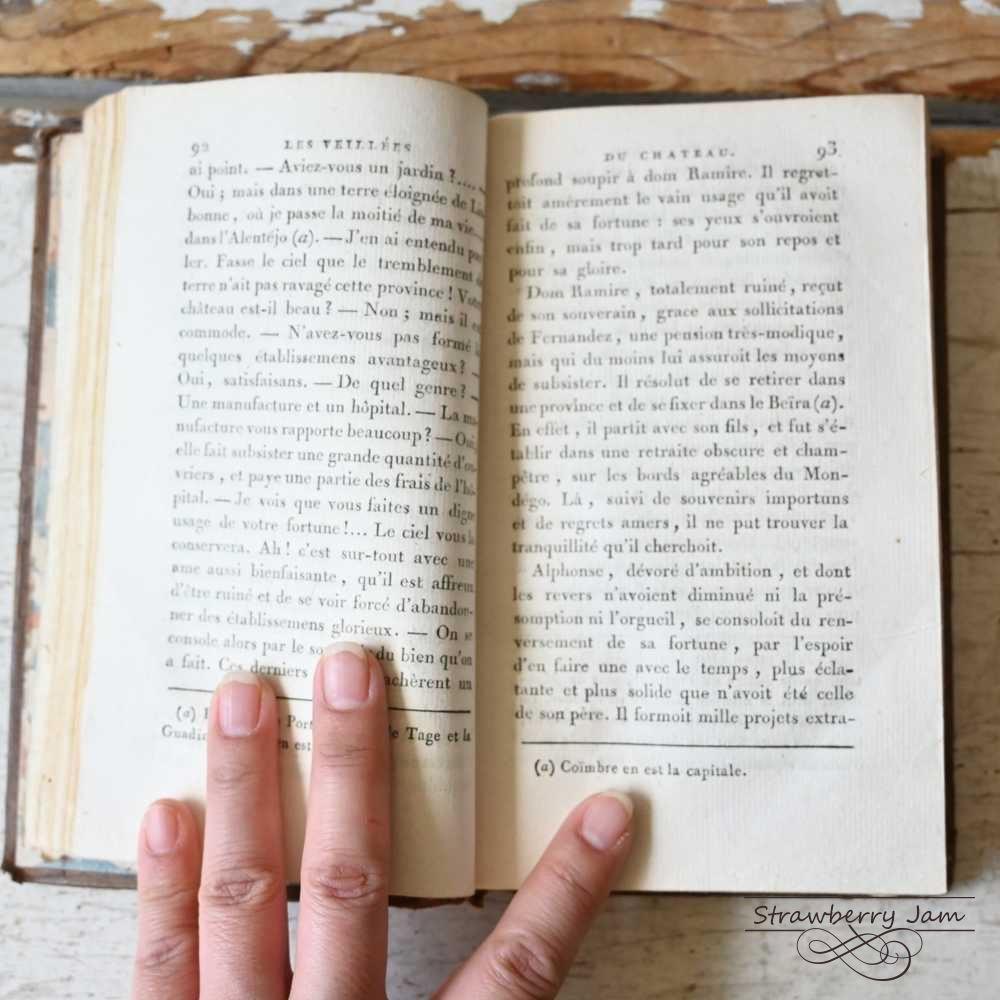L3602-31 送料込！フランスアンティーク 1804年 洋書 古書
