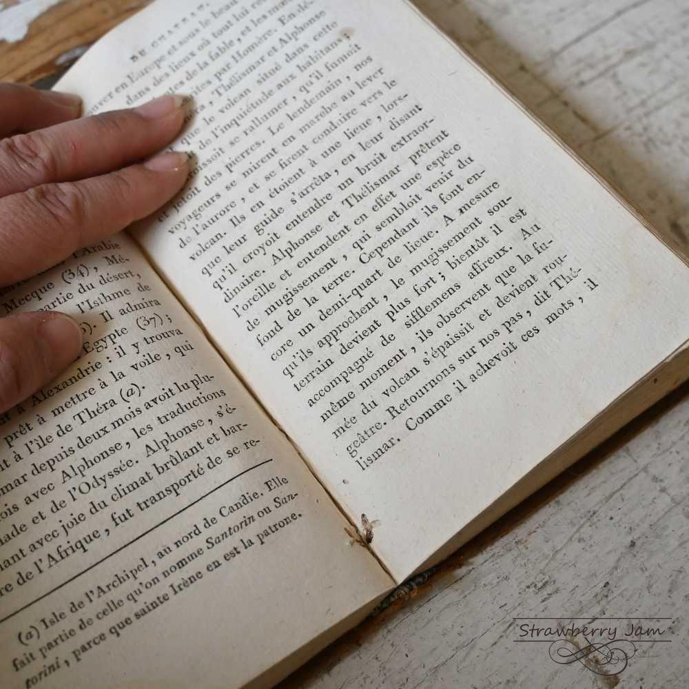 L3602-31 送料込！フランスアンティーク 1804年 洋書 古書