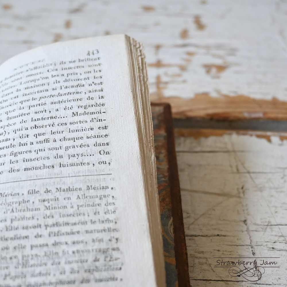 L3602-31 送料込！フランスアンティーク 1804年 洋書 古書
