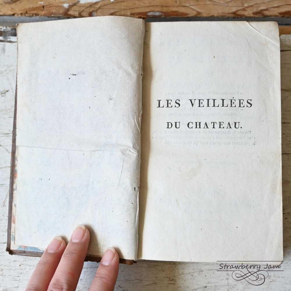 L3602-31 送料込！フランスアンティーク 1804年 洋書 古書