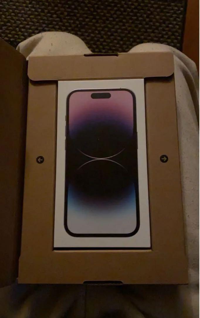 14 Pro