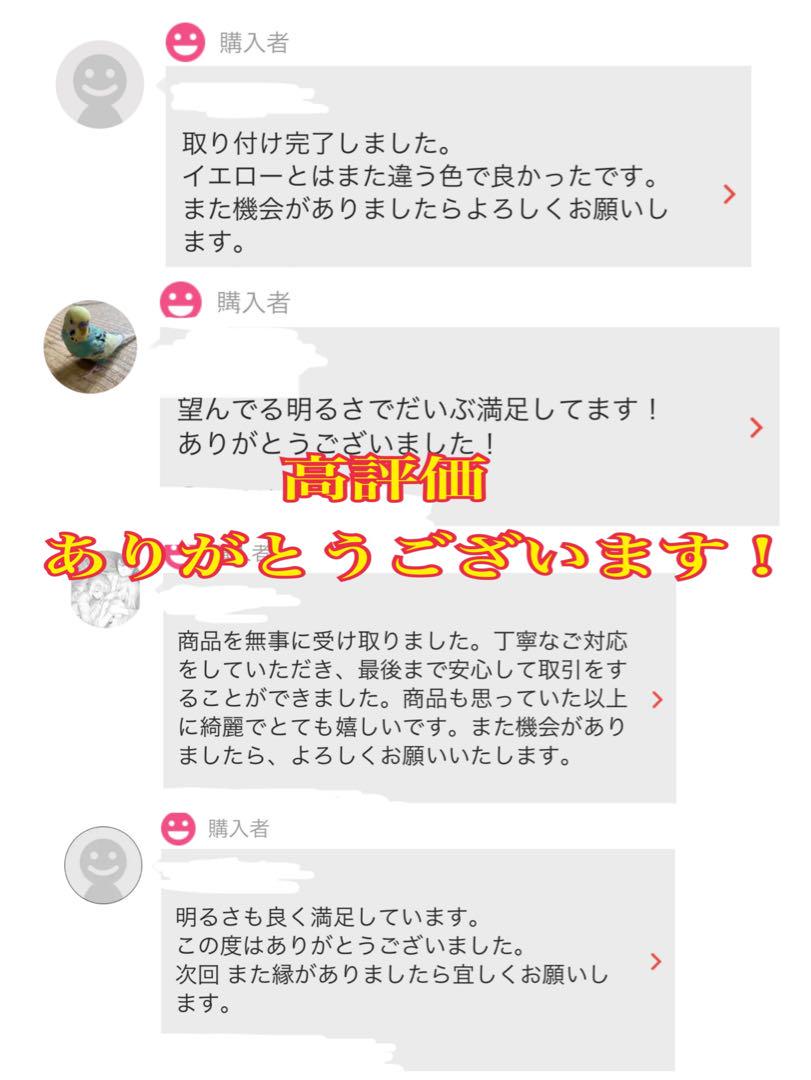 H8|H11|H16ピンクパープルフォグランプ!!当店