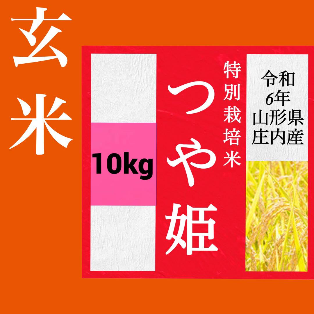 ✨新米✨つや姫✨令和6年産✨特別栽培米✨山形県庄内産✨