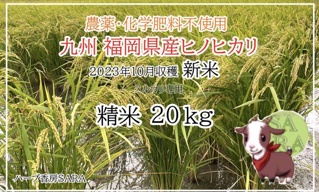 2023年産！九州・福岡県朝倉市産ヒノヒカリ精米20キロ(農薬・化学肥料不使用)