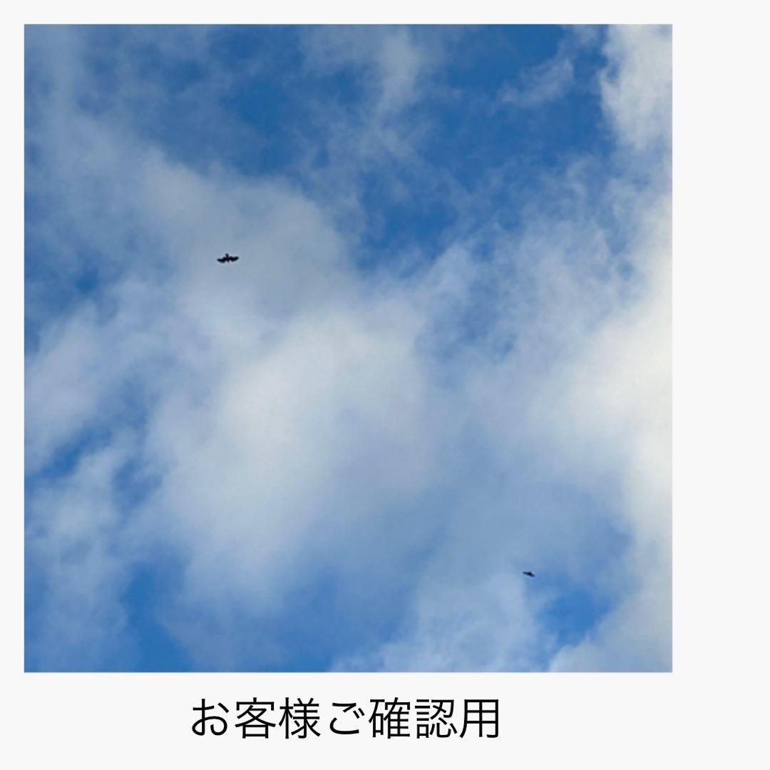 (M0106-1)お客様ご確認用カシャライ産天然アメジスト3.865ct