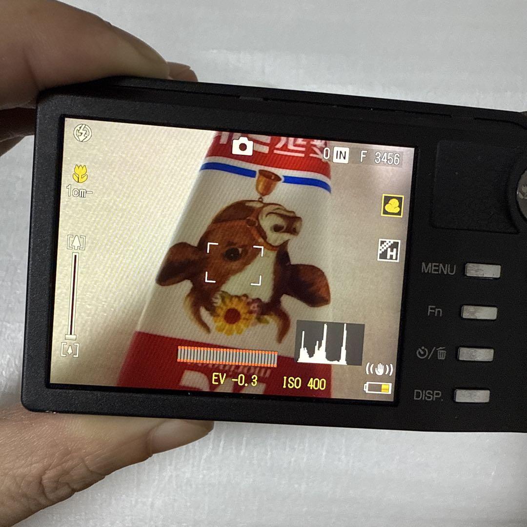 ❗️激安価格❗️デジカメ　本体　RICOH CX1
