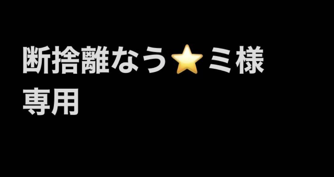断捨離なう⭐️ミ様専用　ディズニーワールドオブイングリッシュ