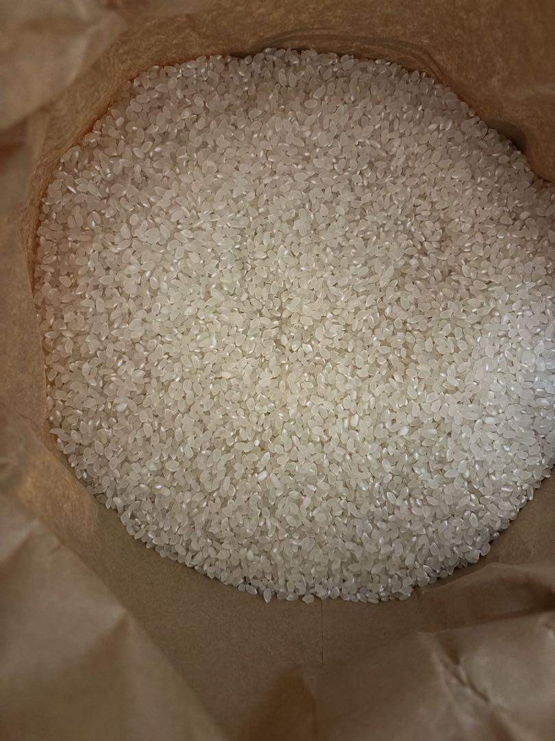 新潟県産コシヒカリ　10kg 精米済み