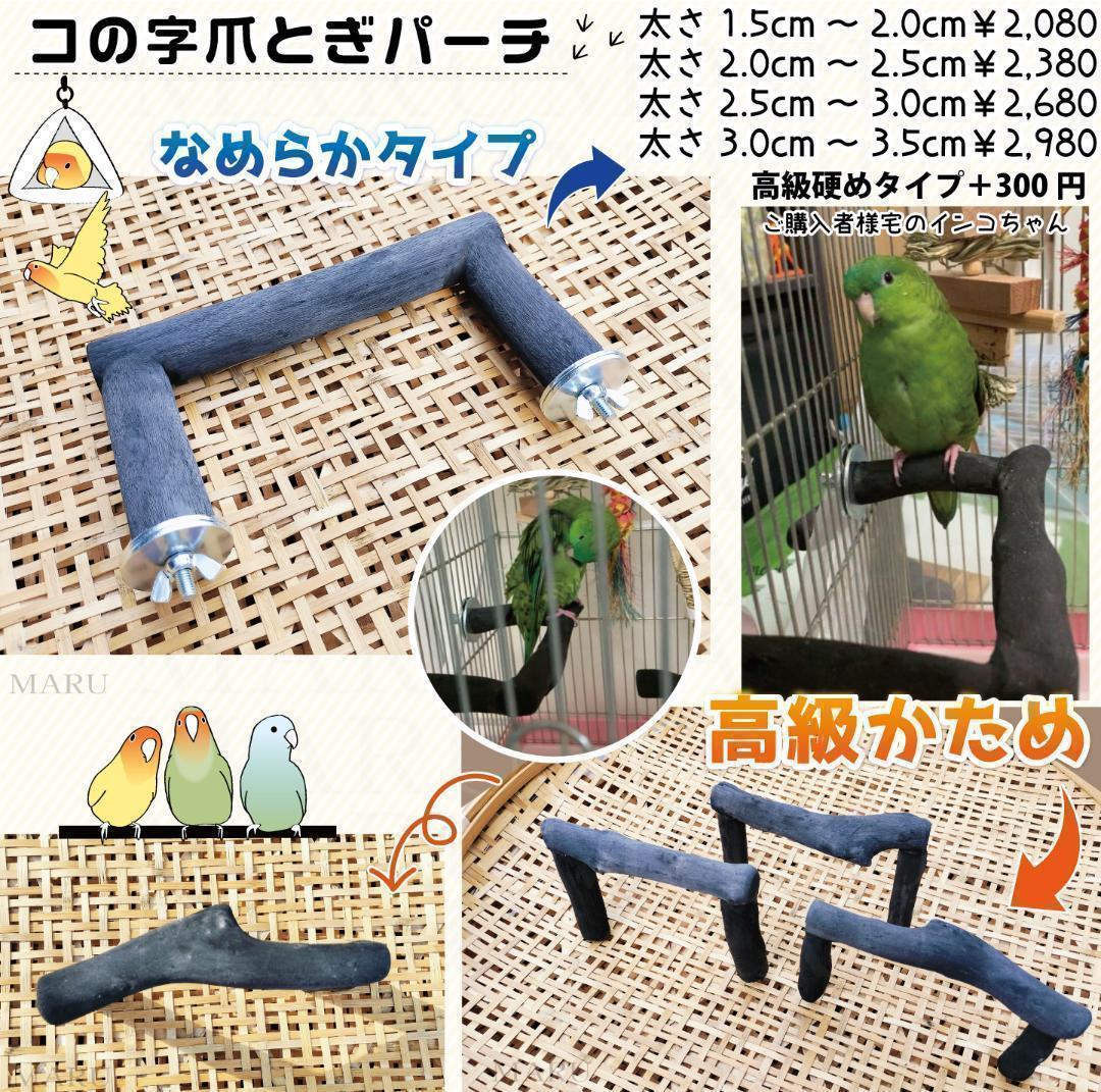 ことりのおおきなあそびば インコ バードジム バード