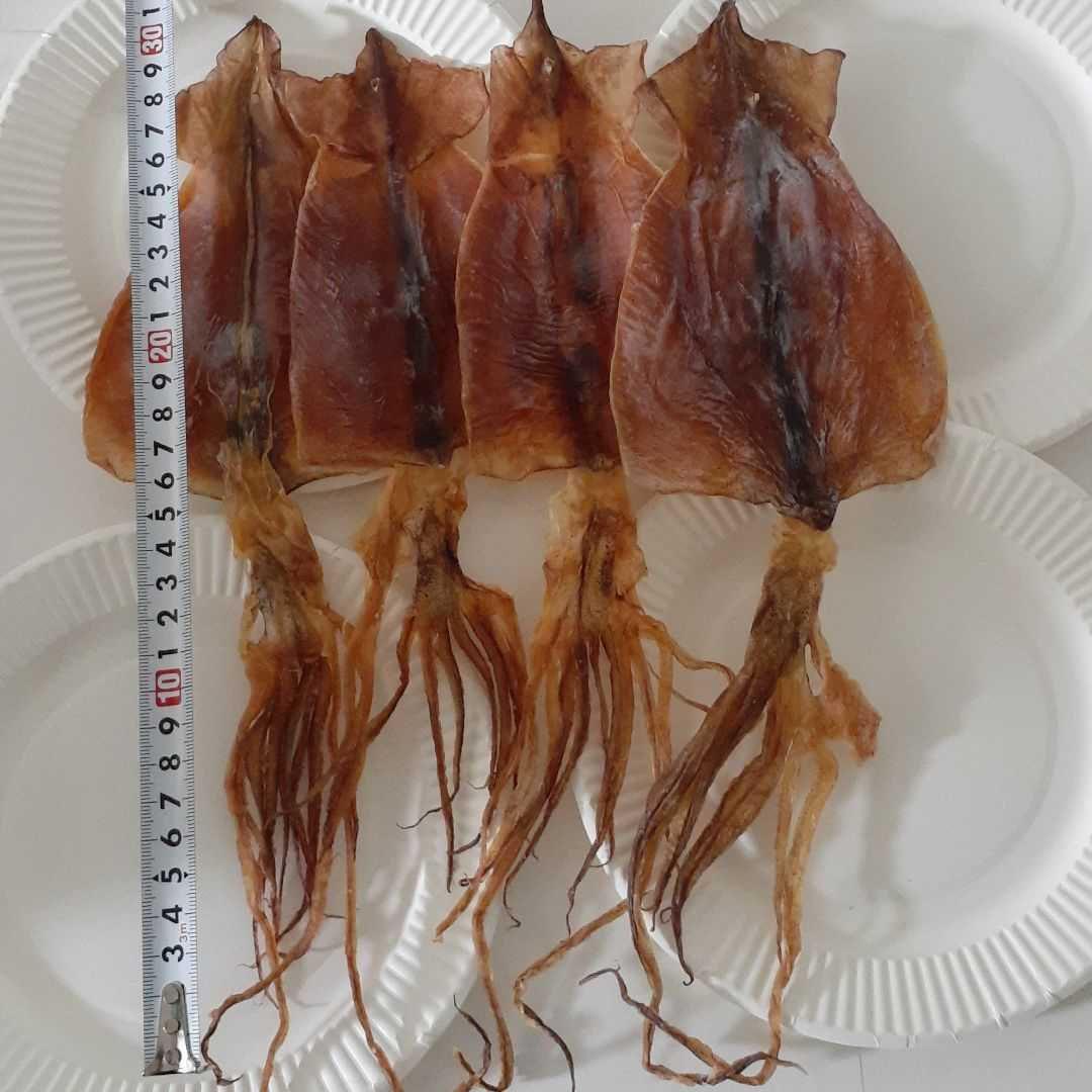 新登場 専用 珍味 肝焼き 100g×6 おつまみ 鰻蒲焼 スルメ好きに2 www.anavara.com 新登場 専用 珍味 肝焼き 100g×6 おつまみ 鰻蒲焼 スルメ好きに2 www.anavara.com