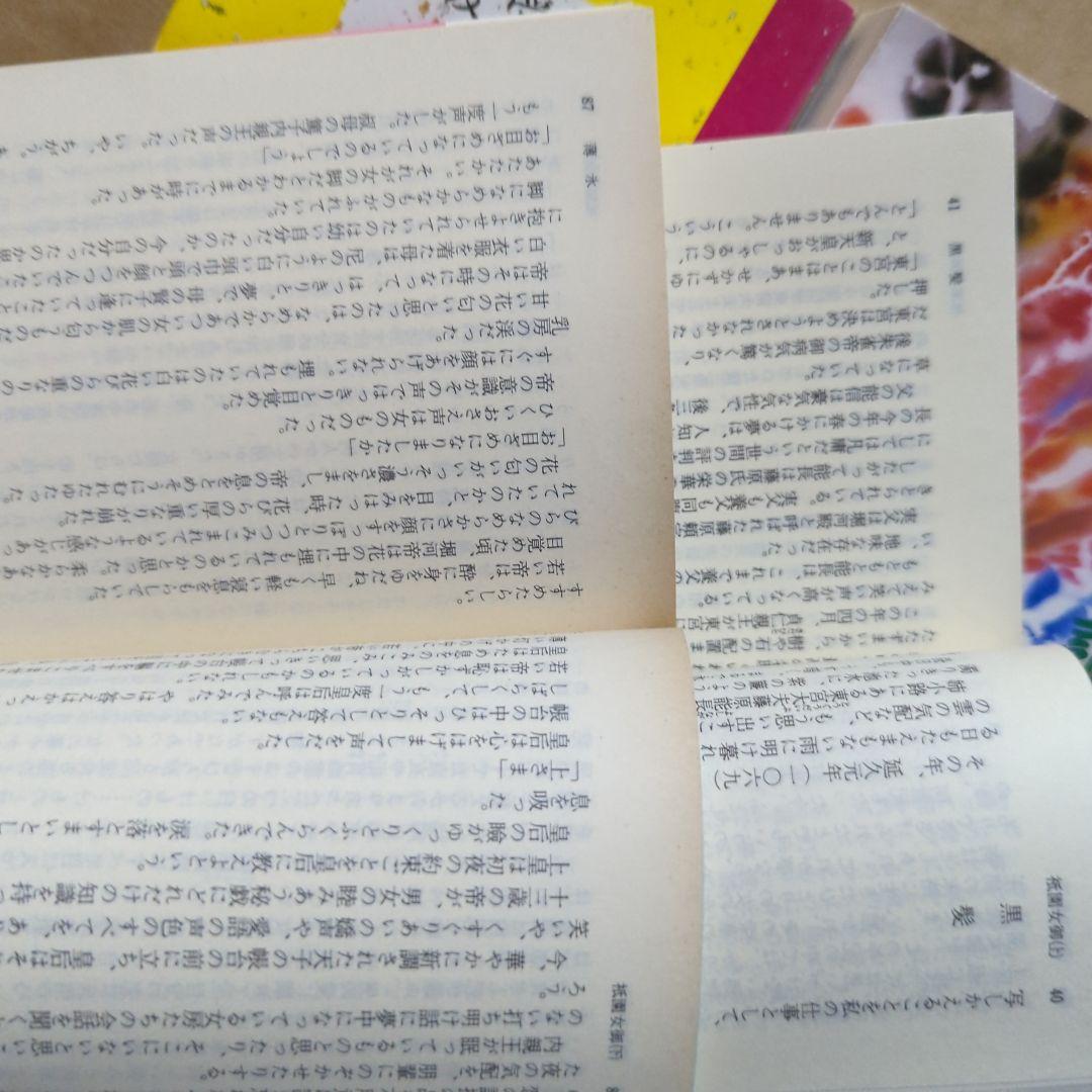 嵯峨野日記 (新潮文庫 せ 2-20) | 瀬戸内 晴美 |本 | 通販 | Amazon