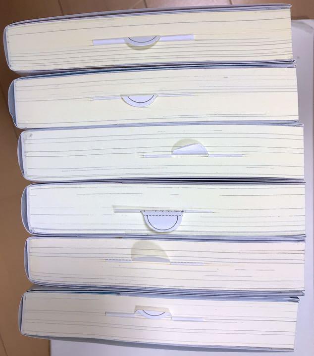 史上最も激安 穏やか貴族の休暇のすすめ 小説１ ６ ８ １０巻セット 激安特価 Menya Ultra Com