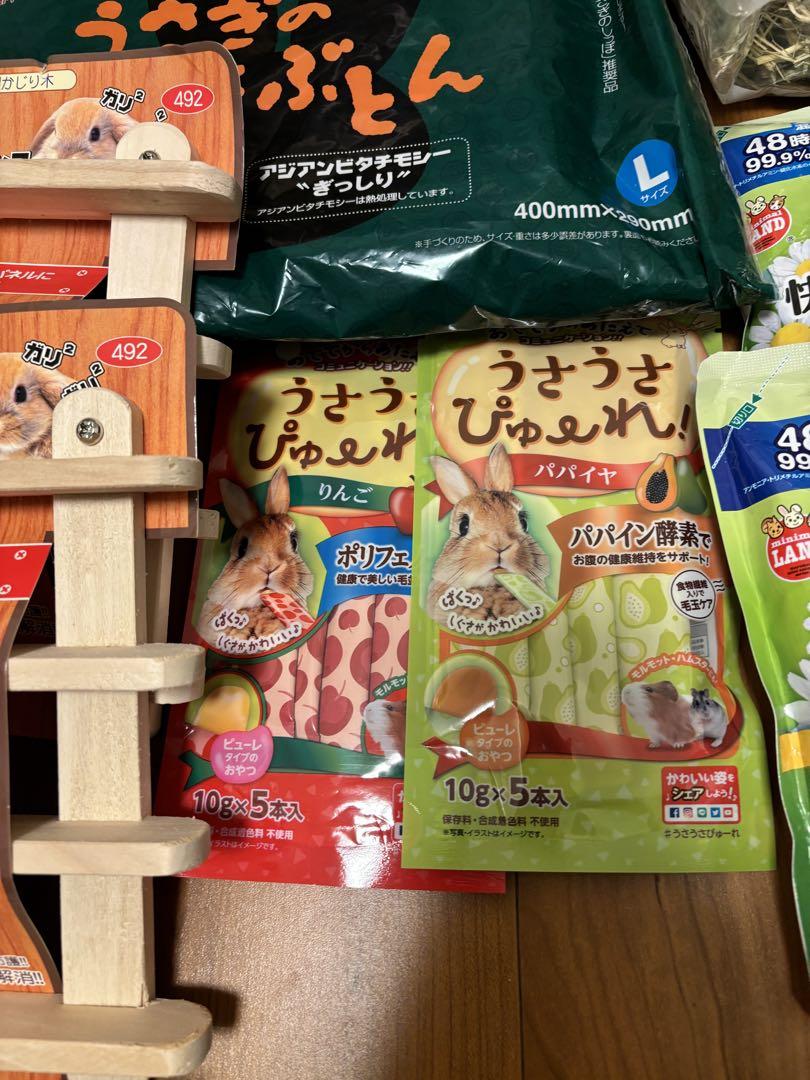 うさぎ　飼育セット