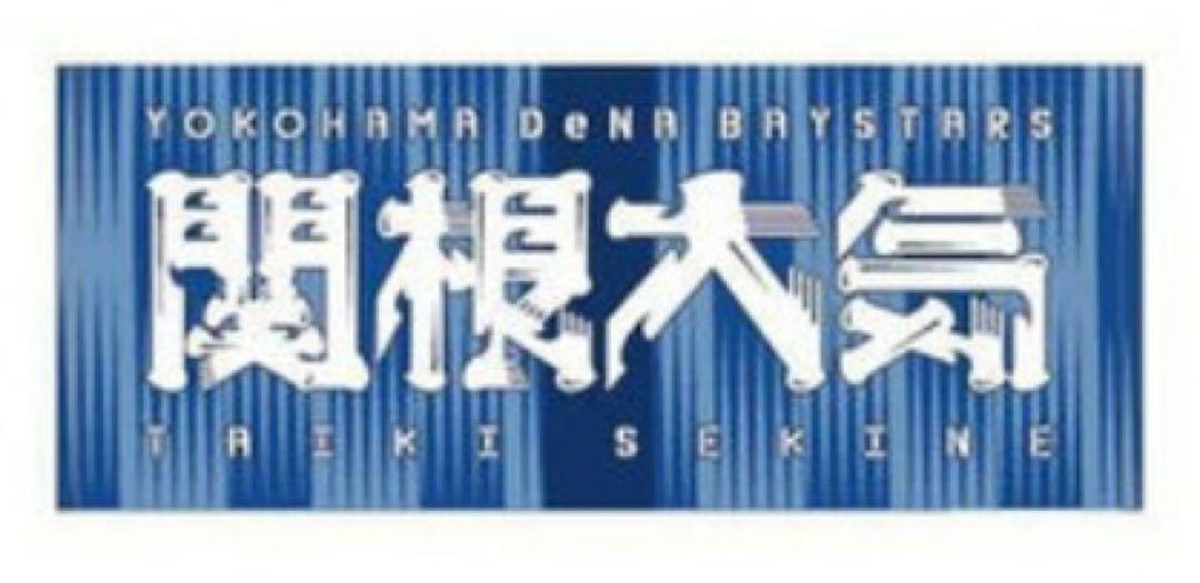 関根大気 横浜DeNAベイスターズ 2025 交流戦 タオル 2枚セット