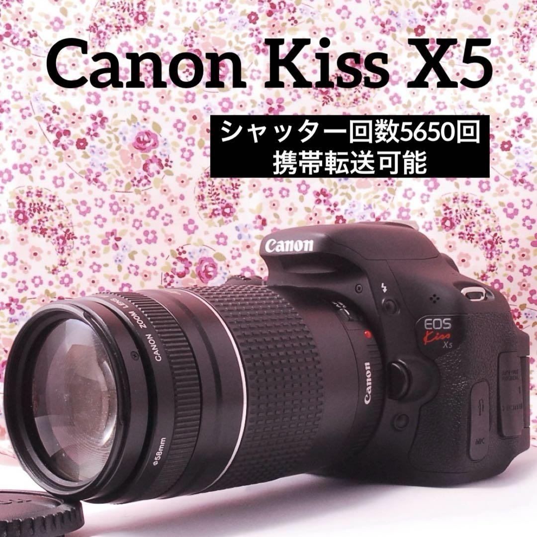 超美品】Canon キャノンEOS Kiss X5 シャッター回数5644回