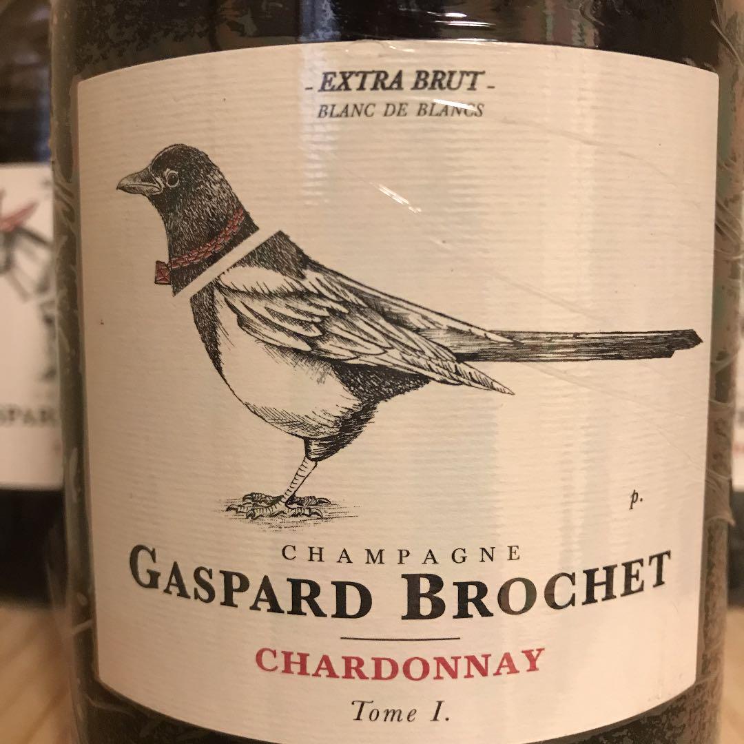 在庫あ即納 Gaspard ガスパール ブロシェ ecEmS-m16429658390 Brochet 新作安い