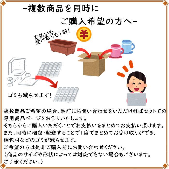 ラタン サイドテーブル 藤 ラタン家具 椅子 ローテーブル 214-1340