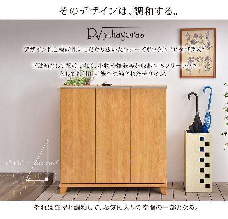 国産 完成品 シューズボックス 幅90 ロータイプ *ピタゴラス-TG