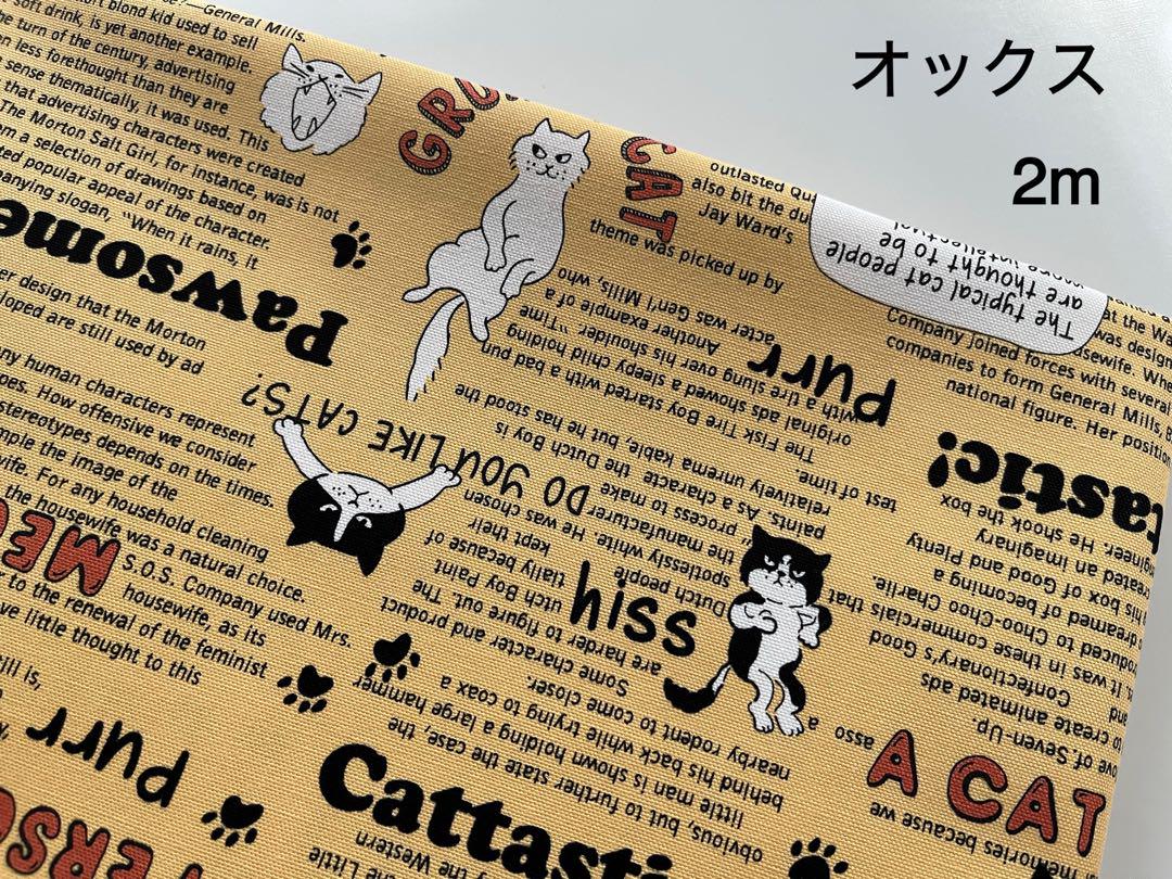 2m　猫　ネコ　英字　オックス　生地　アプリコット　81F