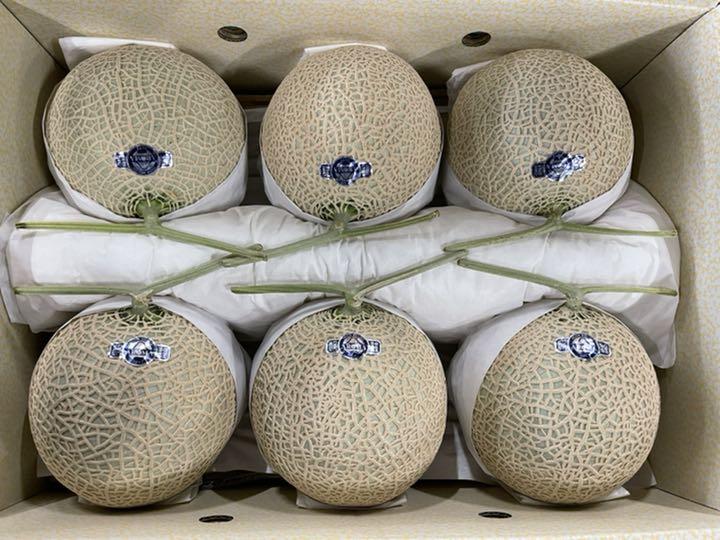 トップ 6玉入り アールスメロン 静岡 - 果物 - www.qiraatafrican.com