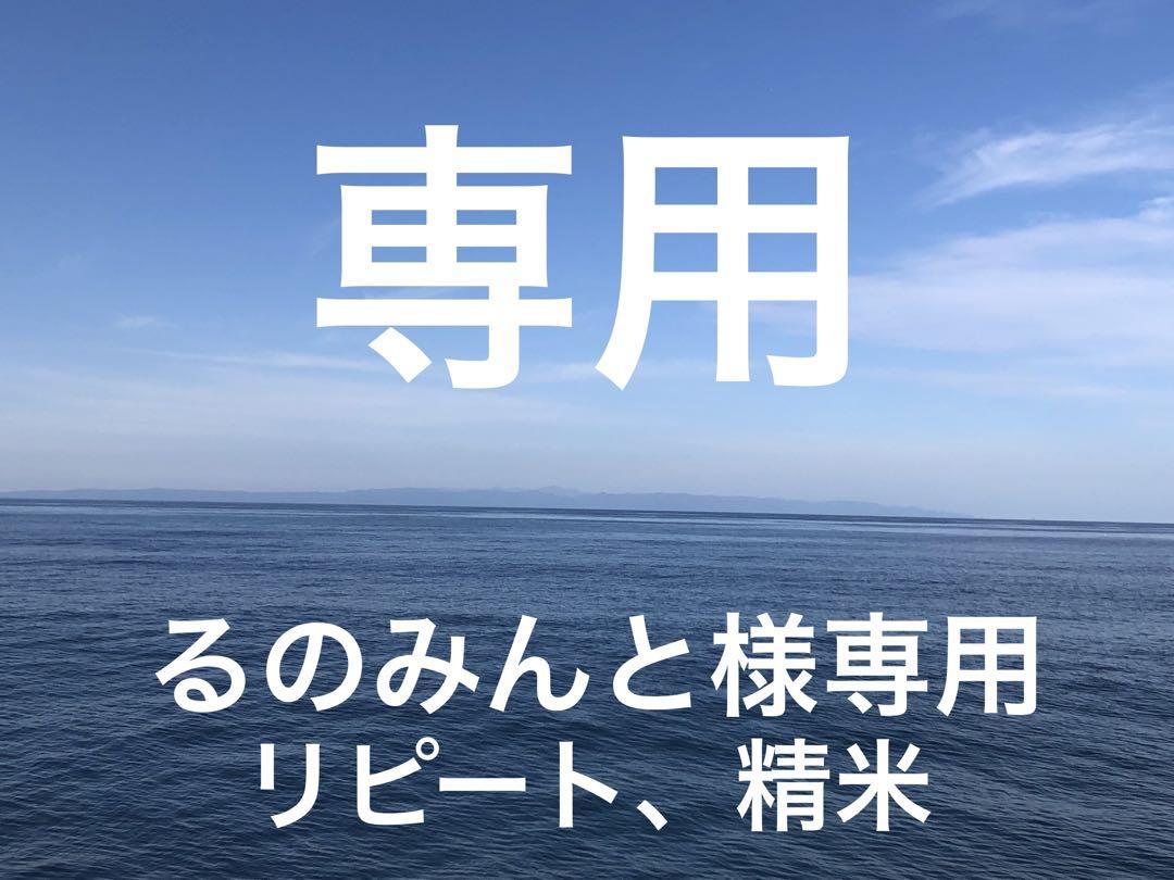 令和6年産　新潟産コシヒカリ　玄米　20kg 新米　精米可