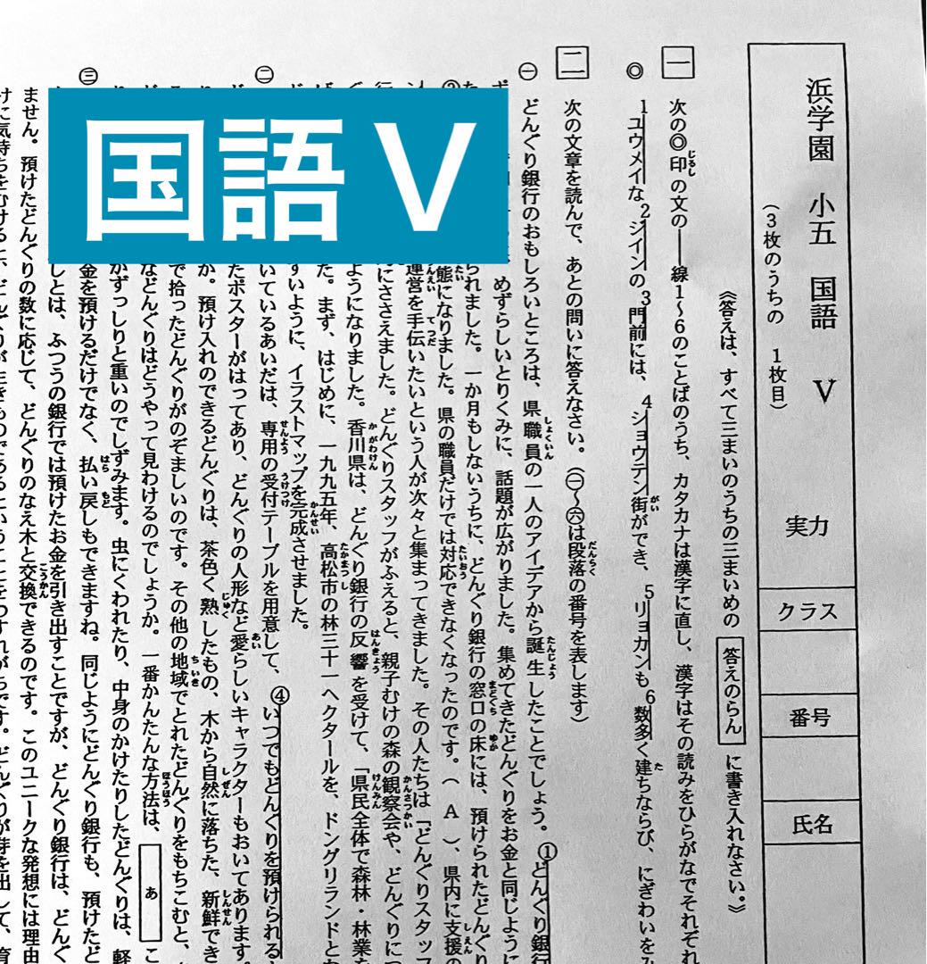 浜学園　小5　理科VSクラス 復習テスト テキスト マスター難問解説集 書込なし 浜学園 最新版 2023年 小5 復習テスト Vクラス 算国理 実力