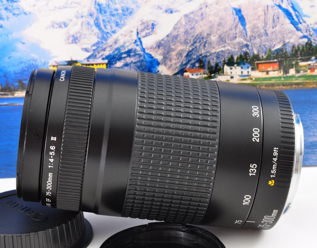 ★望遠レンズ 輝く今を望遠で！Canon キヤノン EF75-300mm #5 ☆望遠レンズ 輝く今を望遠で！Canon キヤノン EF75-300mm #⑧