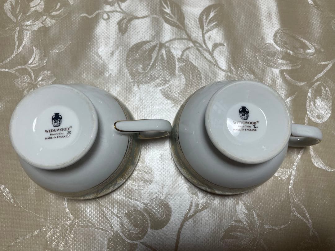 コロンビア セージグリーン