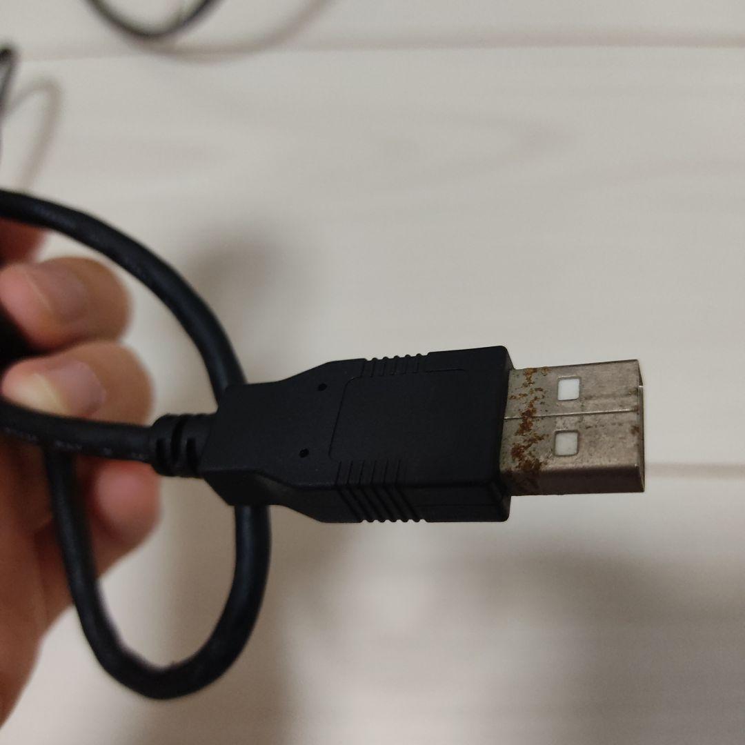 本体
