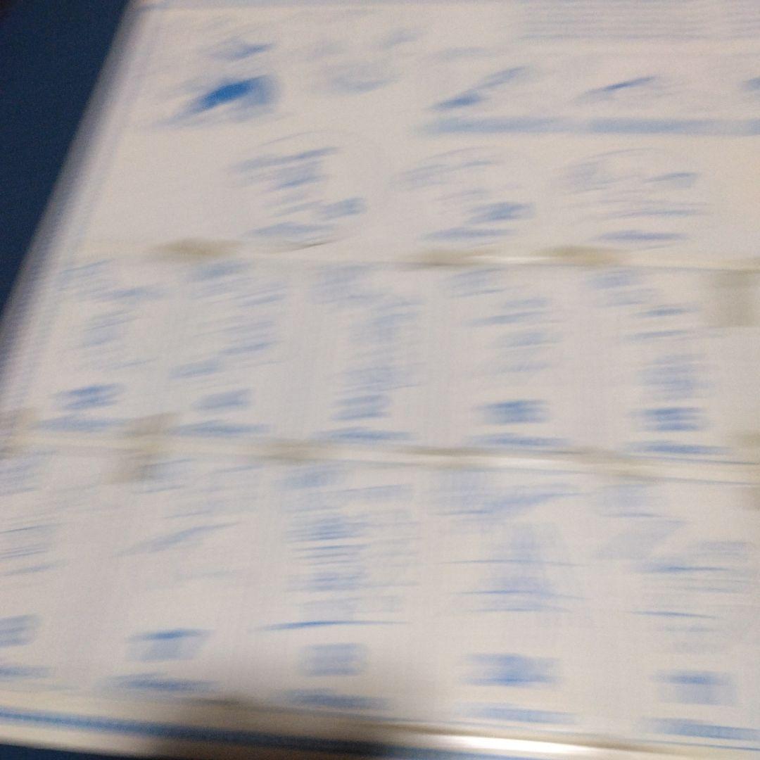 ミズノ 有名野球選手写真札　オールスターメンコ　２９選手