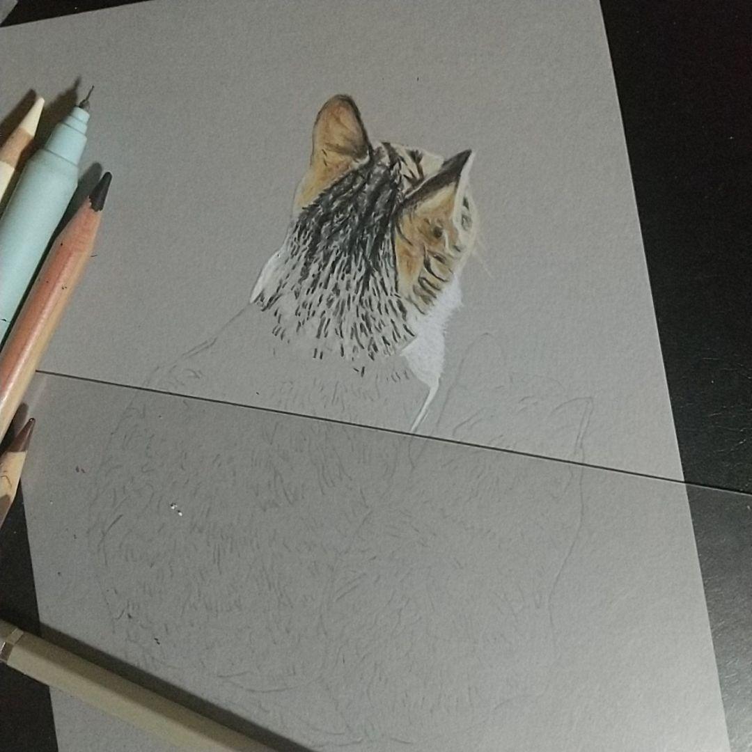最安値級価格 色鉛筆画 realキジシロ親子 2Lサイズ - メルカリ 絵画