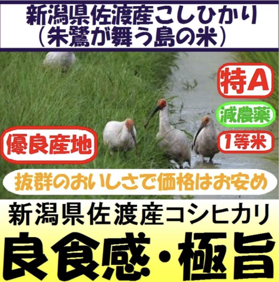 新潟県　佐渡産　コシヒカリ　一等米　30k 極上品　送料込み