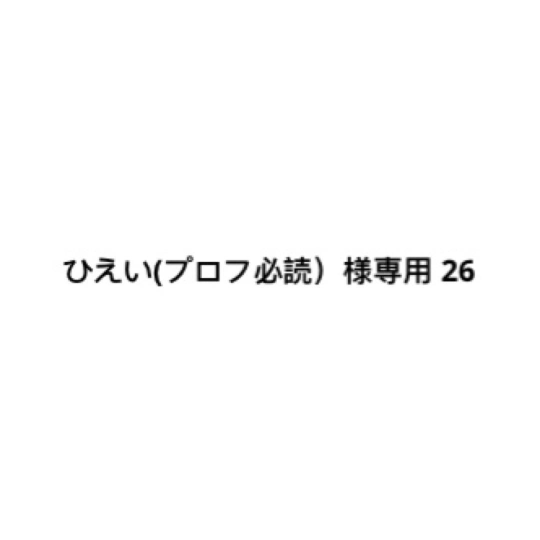 ひえい(プロフ必読）様専用 26