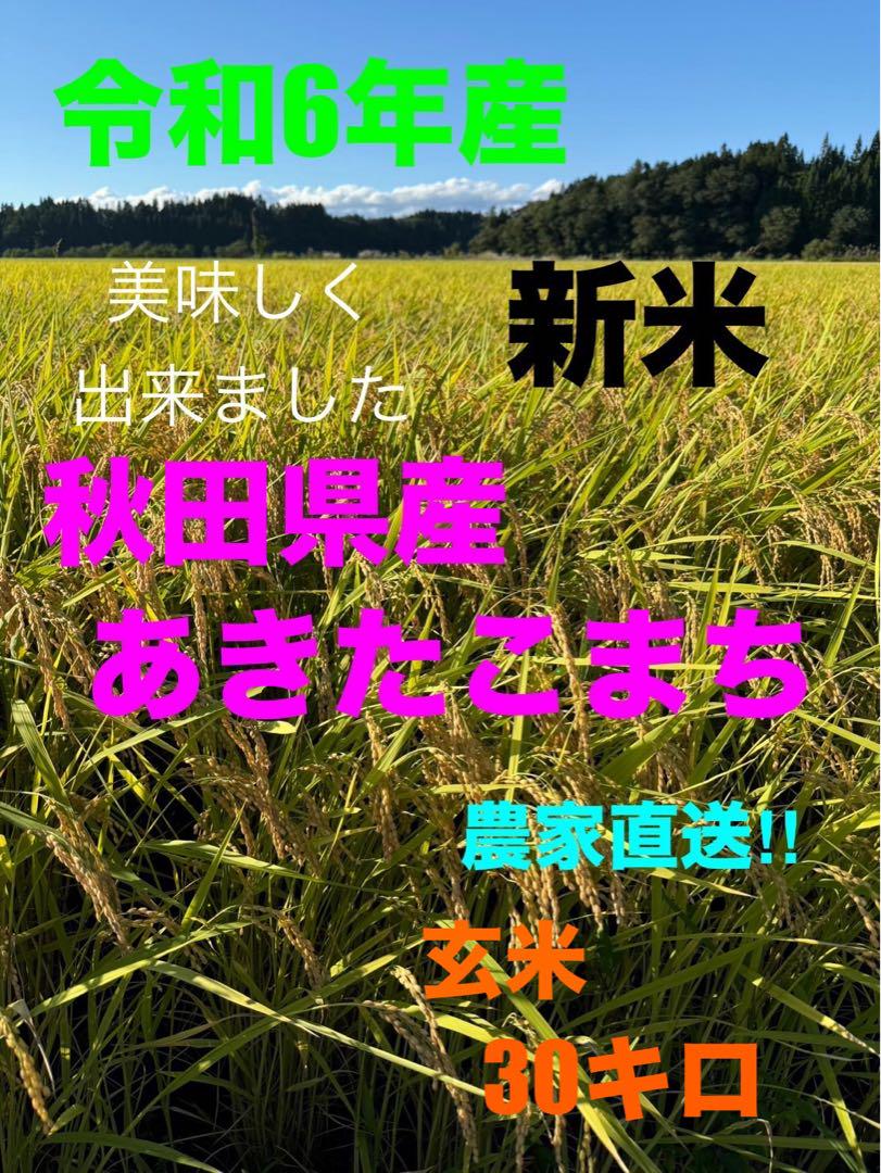★令和６年産★秋田県産あきたこまち　玄米30キロ
