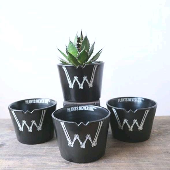 大人気格安 PLANS NEVER DIE 陶器製 骨W鉢 Foy6B-m16543768075 得価爆買い