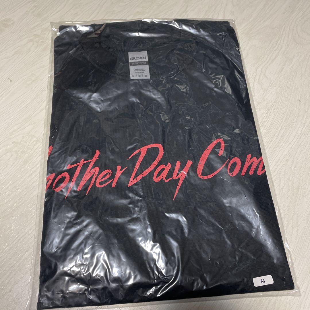 Pay money To my Pain Tシャツ Mサイズ PTPベストセラー