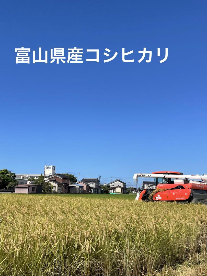 令和5年産　富山県産コシヒカリ　玄米