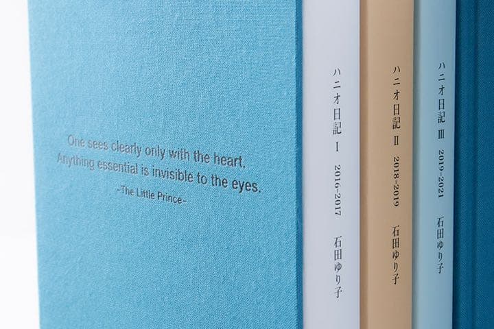 年のクリスマス お値下げしました ハニオ日記 青い箱 箱のみです 趣味 スポーツ 実用 Drudom Pl