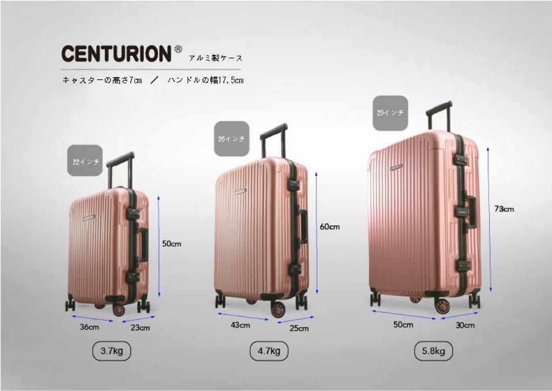 CENTURION 29インチ日本限定　ホワイト　グレー　フレーム型　Lサイズ